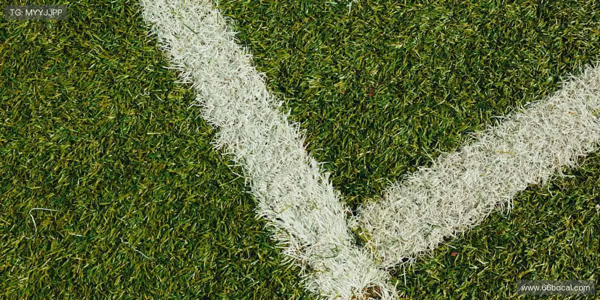 球星同款,即刻拥有!⚡️